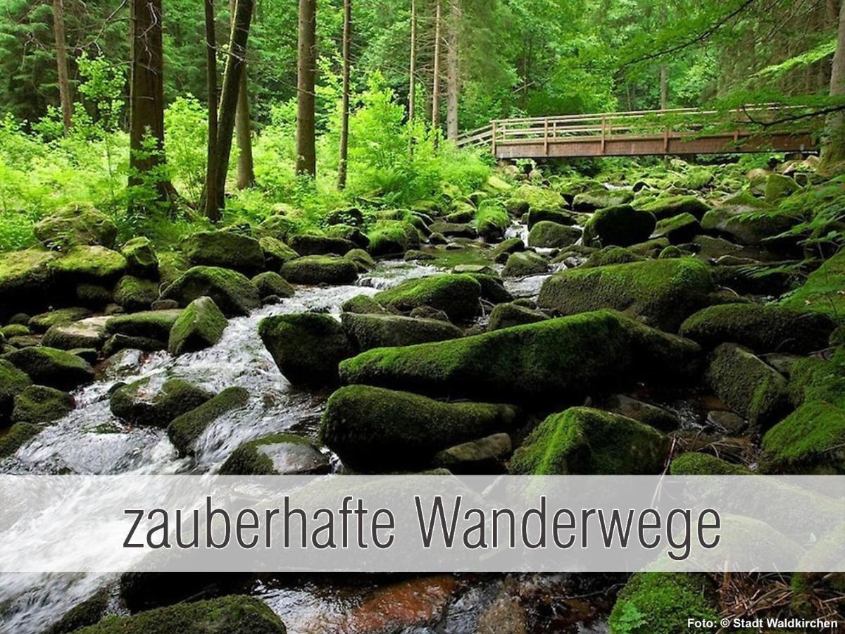 Huette41: Ganze Huette Nah Am See Mit Privatem Whirlpool, Sauna. Umzaeunt. Waldkirchen Exterior photo